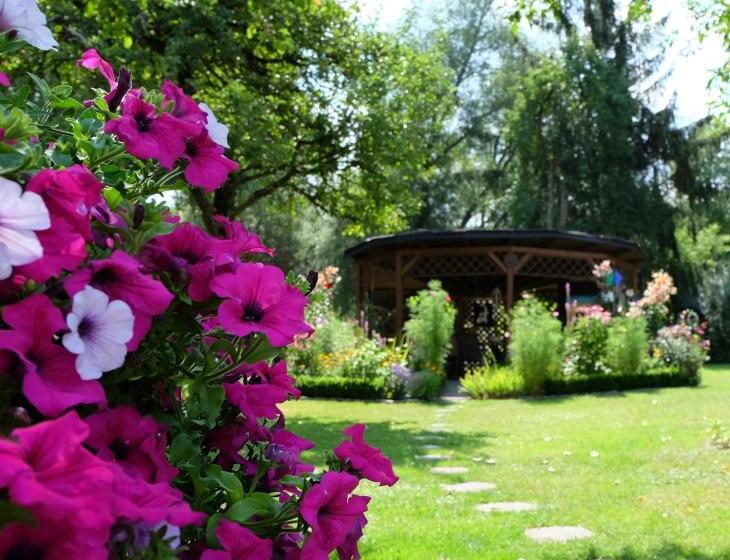 Пансион Gästehaus Biedermann