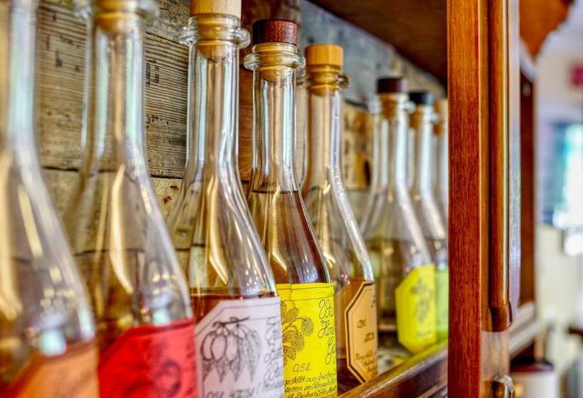 Пансион Jakob