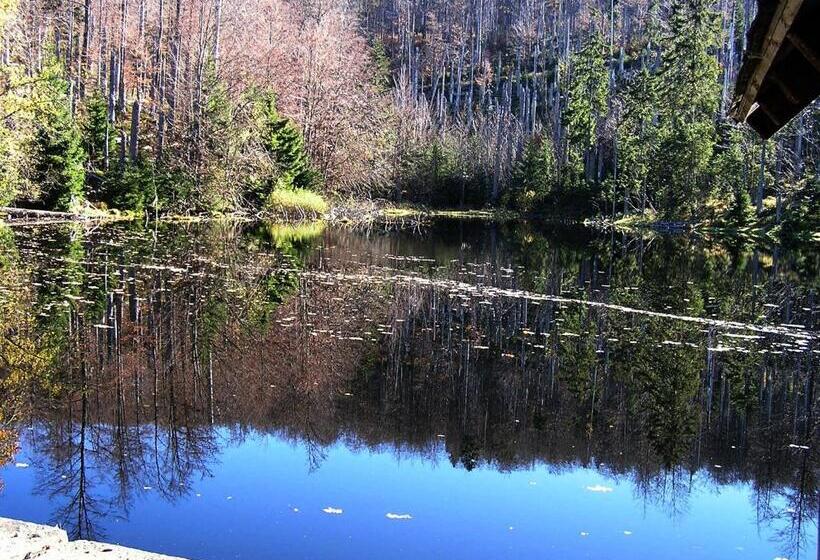 펜션 Euler Neuschönau Landgasthof