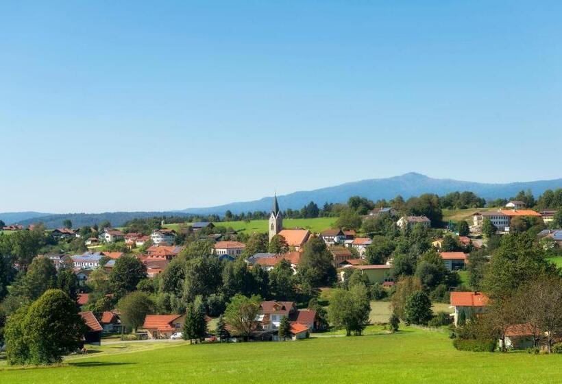 펜션 Euler Neuschönau Landgasthof
