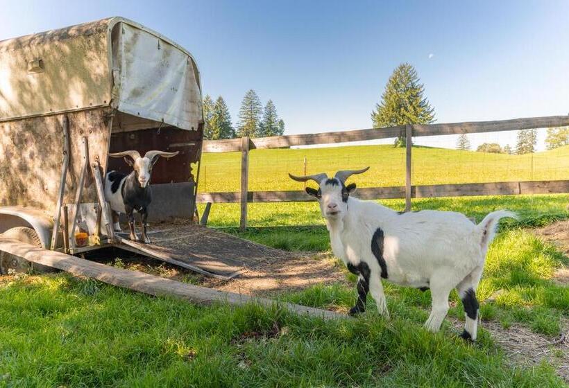 膳宿费 Familienhotel Löwen