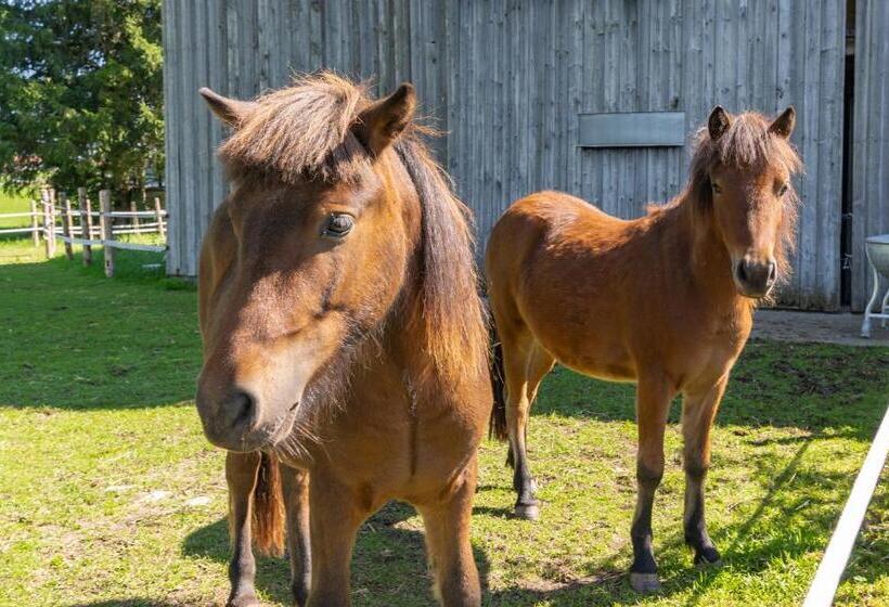 بنسيون Familienhotel Löwen