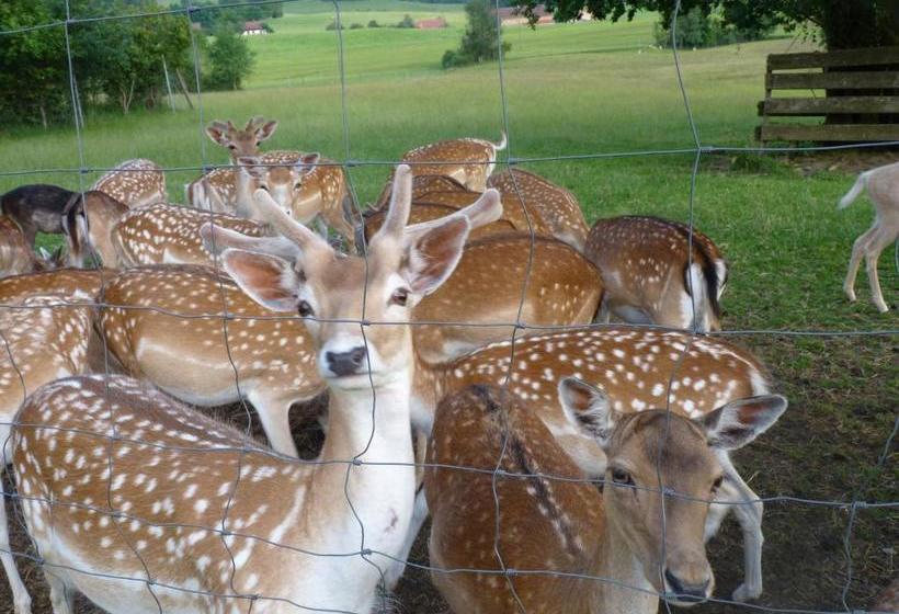 Пансион Sontheims Naturhotel & Spa