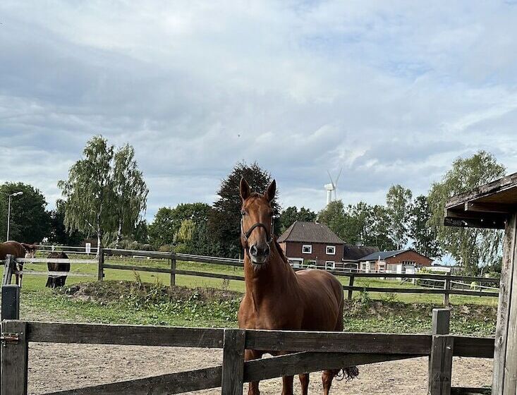 بنسيون Landhotel Vessens Hoff