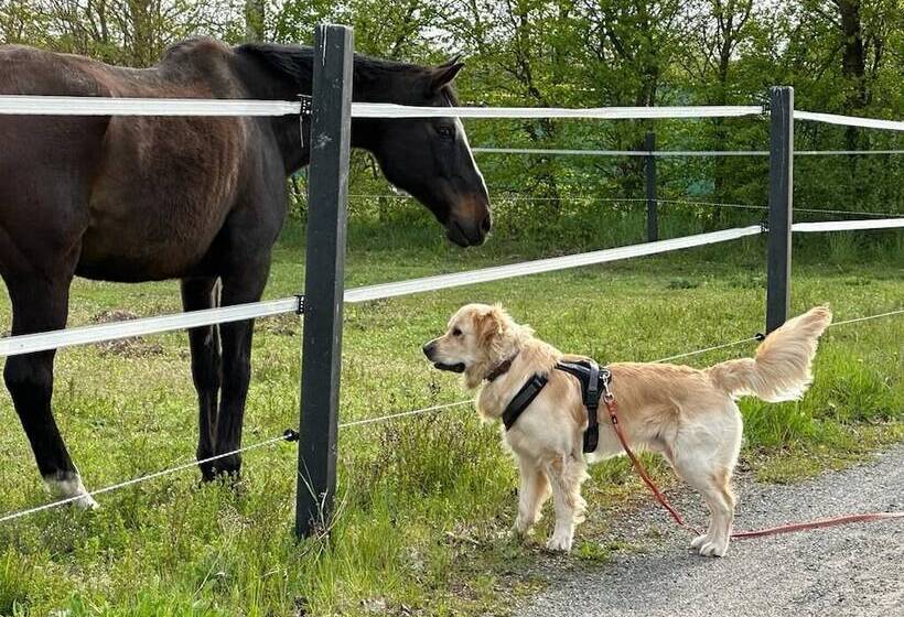 بنسيون Landhotel Vessens Hoff