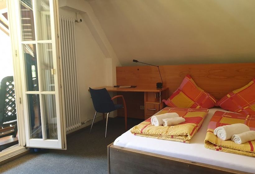 Пансион Luchs Hostel Im Hirschen