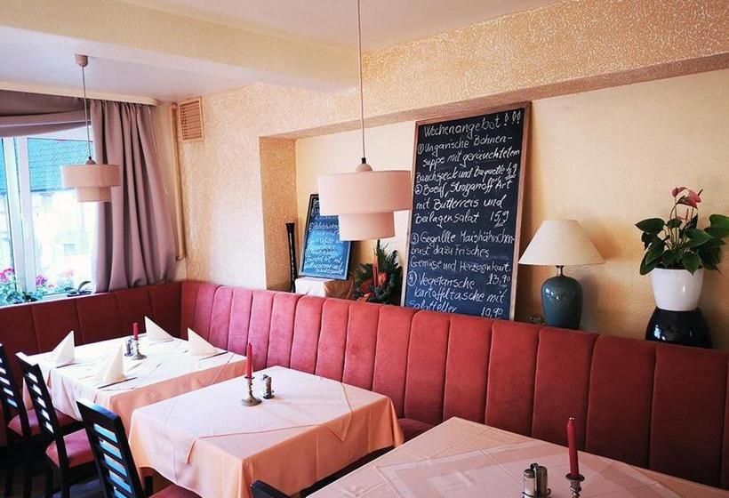 Пансион Zum Erbacher Hof