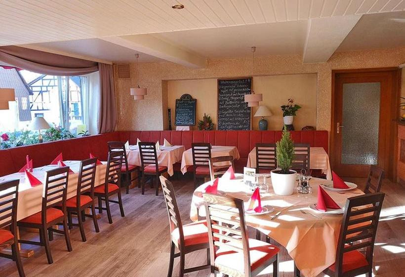 Пансион Zum Erbacher Hof