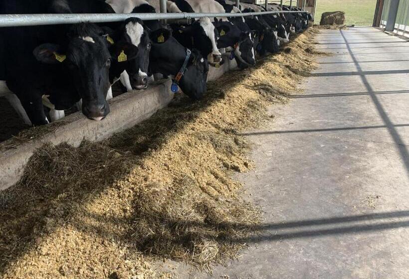 Pension Wittgensteiner Schweiz