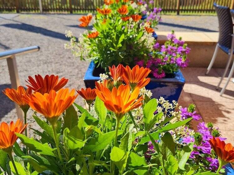 Waldquelle   Baumhaushotel Aerzen