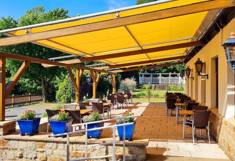 Waldquelle   Baumhaushotel Aerzen