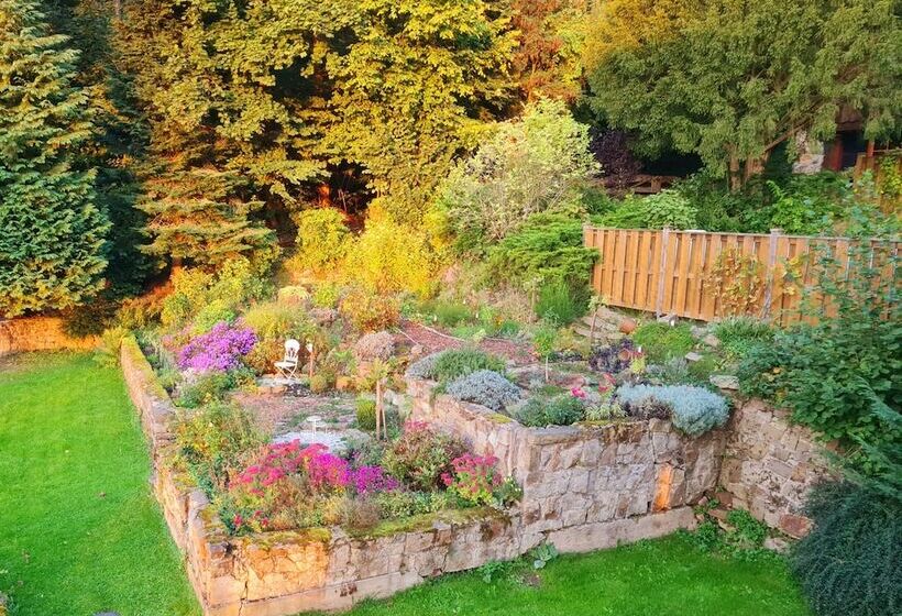 Waldquelle   Baumhaushotel Aerzen