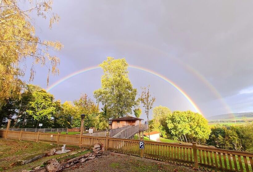 Waldquelle   Baumhaushotel Aerzen