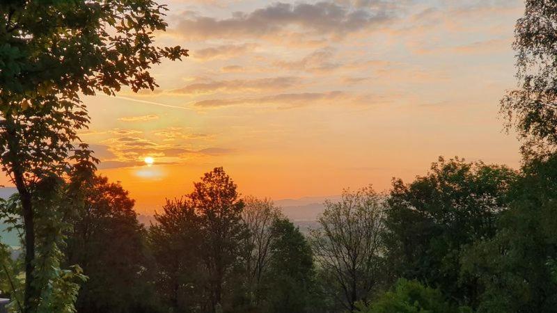 Waldquelle   Baumhaushotel Aerzen