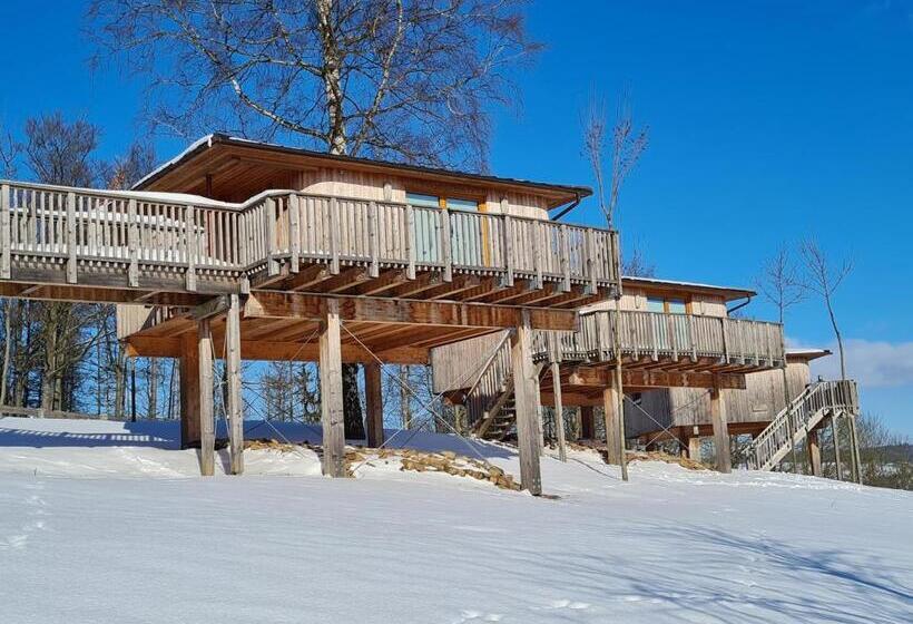 Waldquelle   Baumhaushotel Aerzen