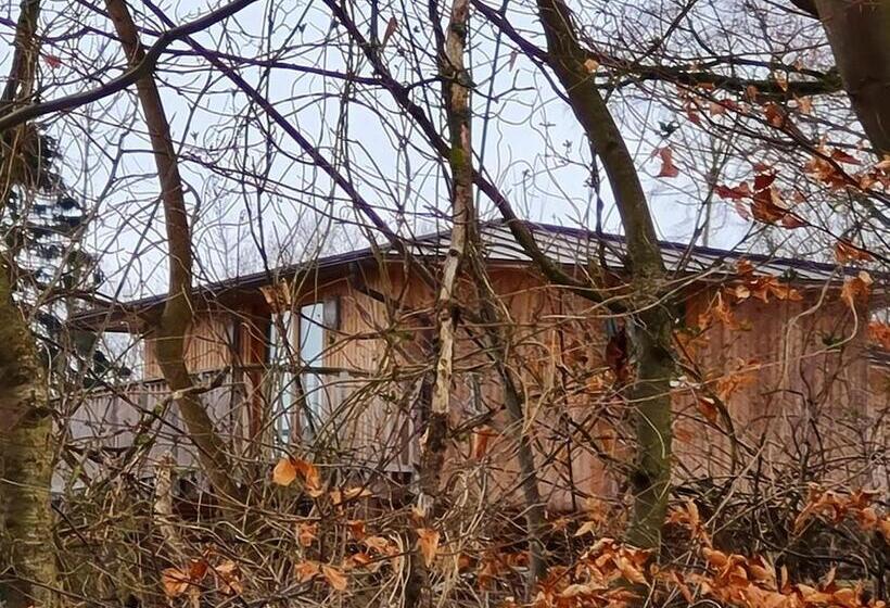 Waldquelle   Baumhaushotel Aerzen