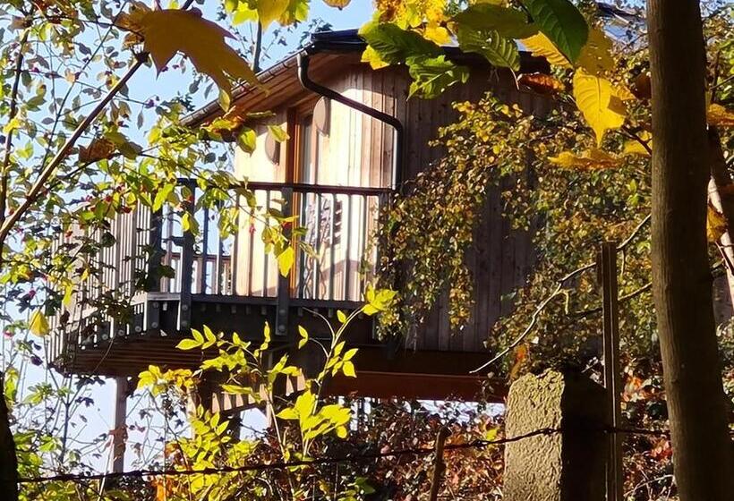 Waldquelle   Baumhaushotel Aerzen