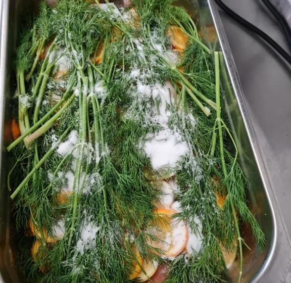 Waldquelle   Baumhaushotel Aerzen