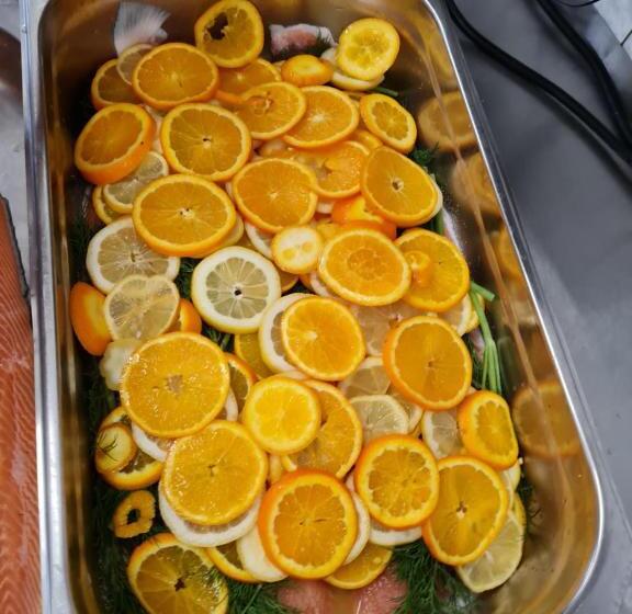 Waldquelle   Baumhaushotel Aerzen