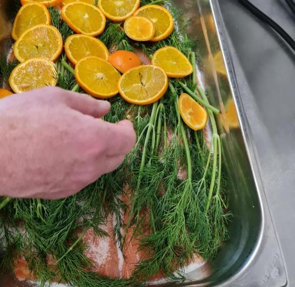 Waldquelle   Baumhaushotel Aerzen