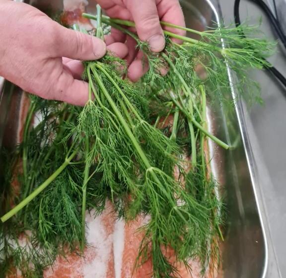 Waldquelle   Baumhaushotel Aerzen