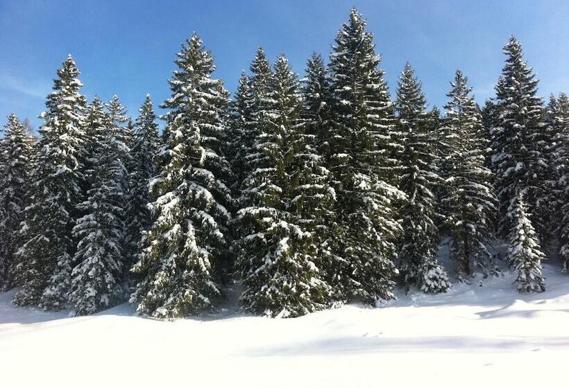 Alpenvilla Berchtesgaden