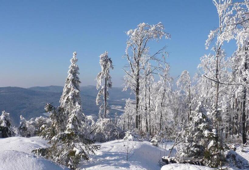 Bed and Breakfast Ferienwohnungen König