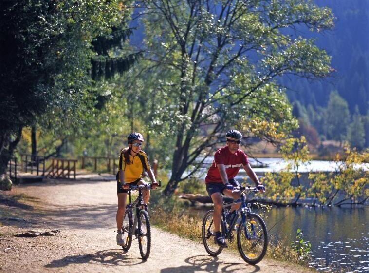 Bed and Breakfast Ferienwohnungen König