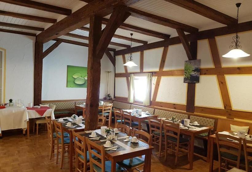 ベッドアンドブレックファースト Pension Maintal Eltmann