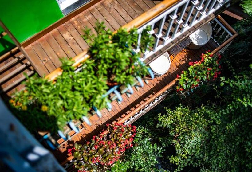 Elite Garden Hotel - Yangshuo