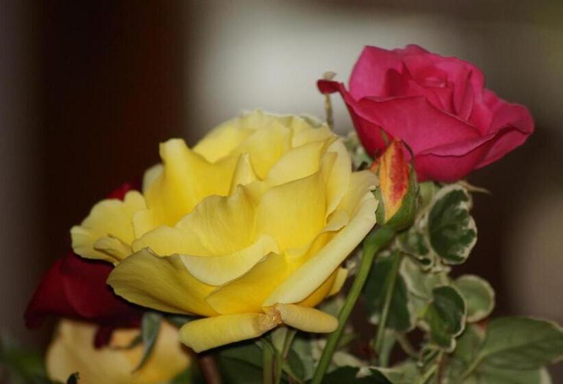 호텔 Alpenhof Reuterwanne