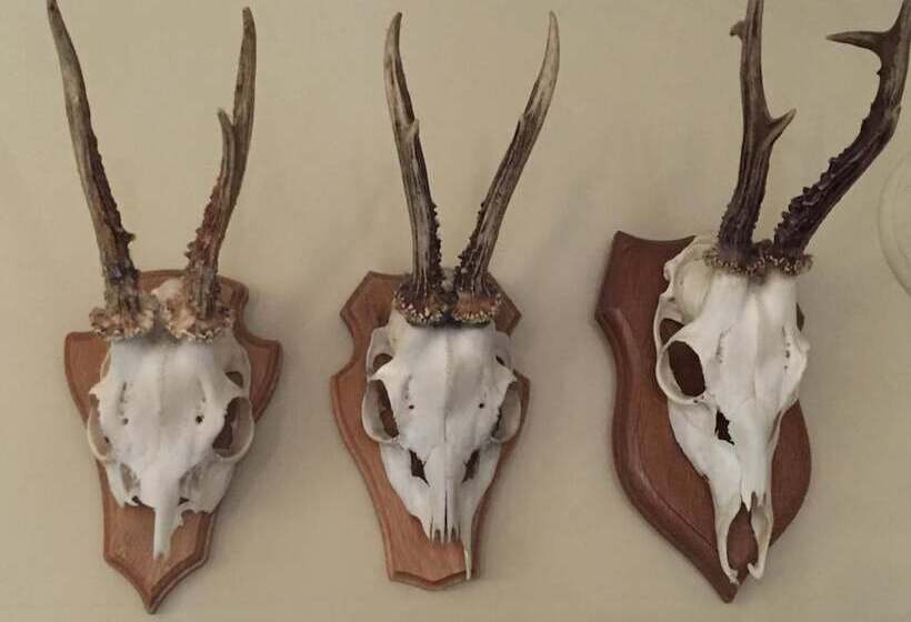 Arthotel Restaurant Pfeffermühle