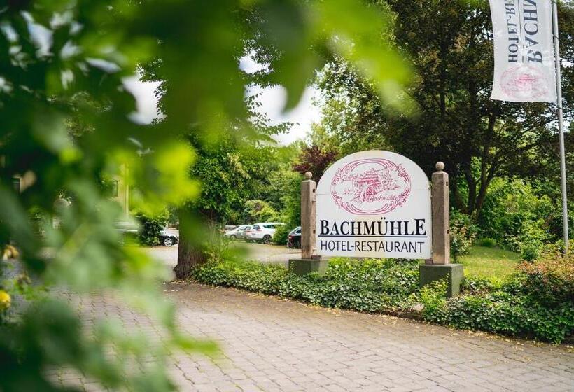 בית מלון כפרי Bachmühle