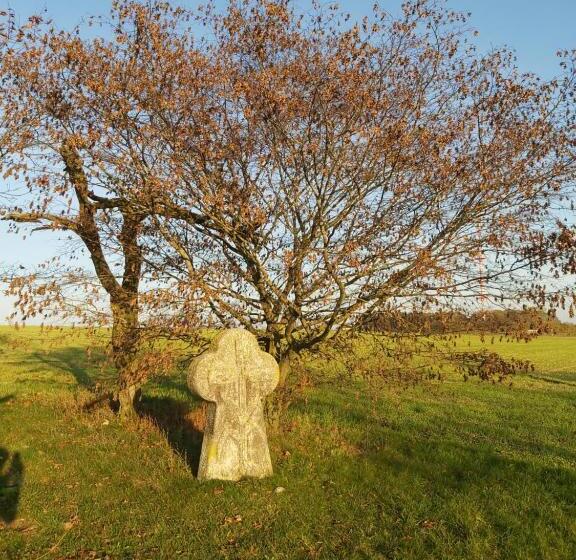 Отель Garni Zur Krone