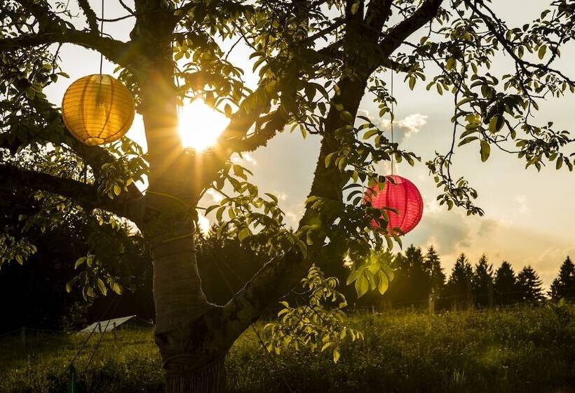 ホテル Gut Sonnenhausen