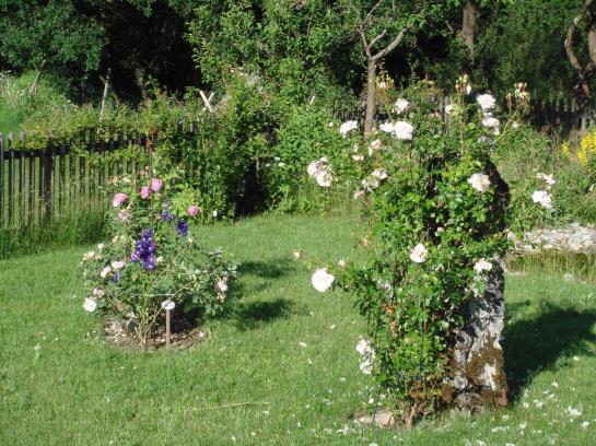 酒店 Haus Am Markt