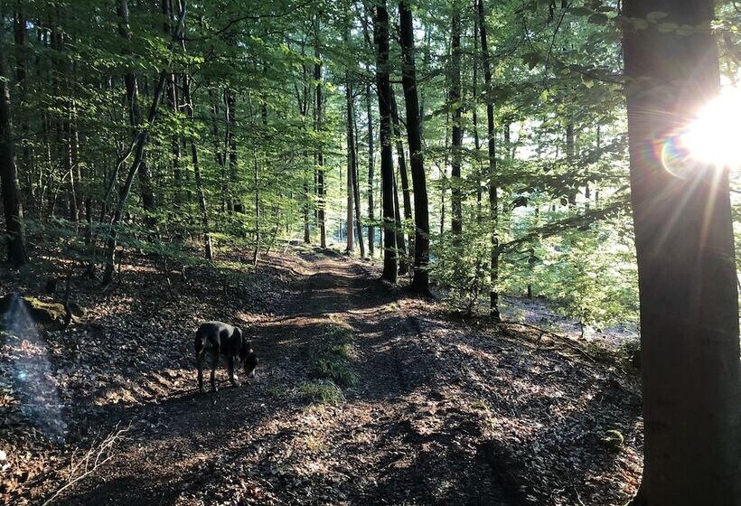 ホテル Haus Am Wald