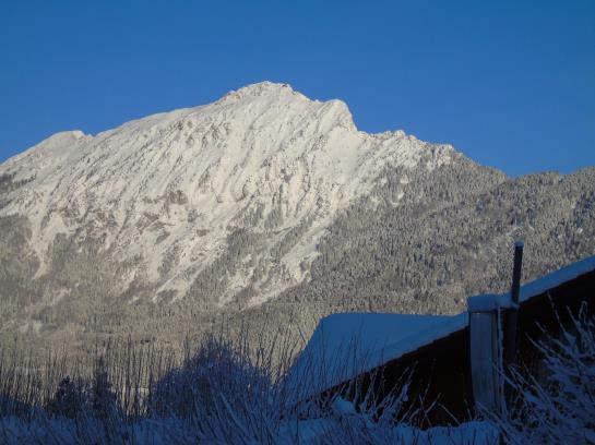 Отель Haus Amberger