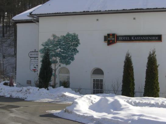 호텔 Kastanienhof
