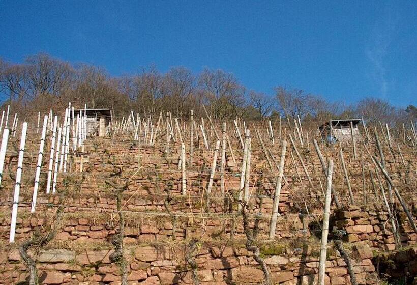 호텔 Katharinenhof