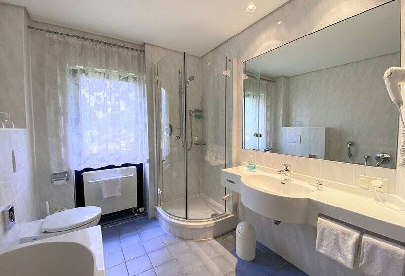 Regiohotel Wittekind Burg