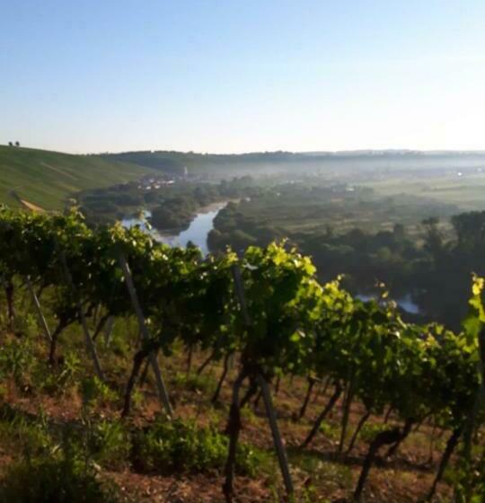 Aparthotel Alte Schmiede Dettelbach