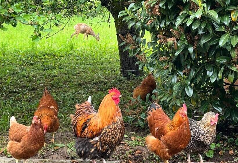 Отель Restaurant Berghof