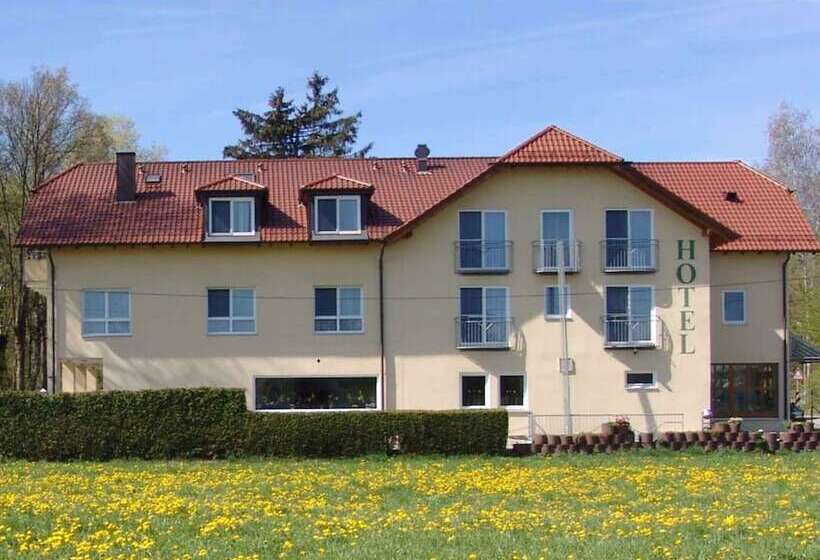 Отель & Restaurant Dornweiler Hof