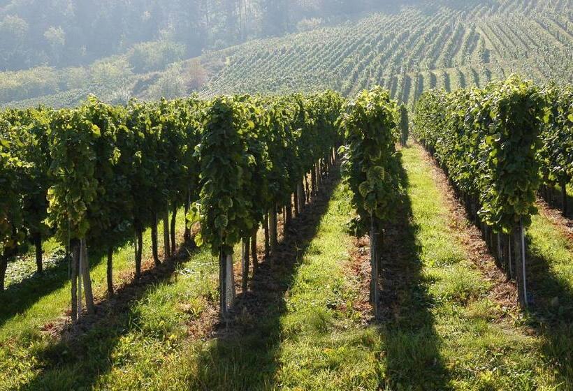 Отель Haus Rebland Urlaubsglück