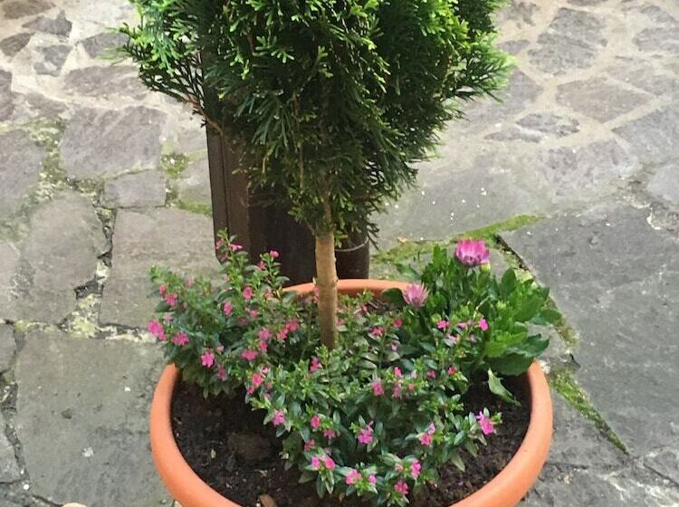 בית מלון כפרי Sandstern