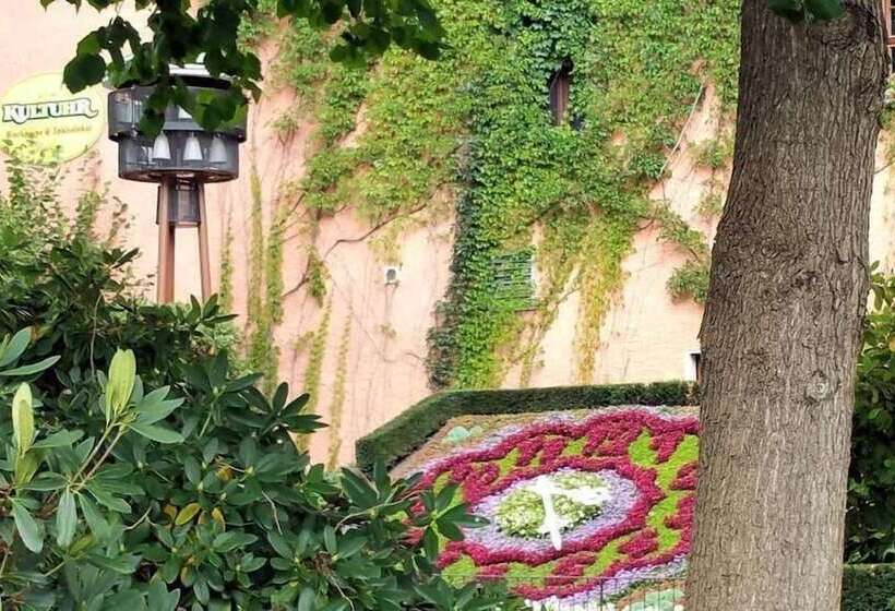 ホテル Schwarzer Bar