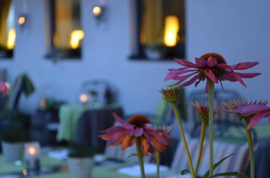 Отель Spessartstuben