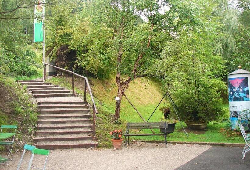 Отель & Restaurant Tonihof