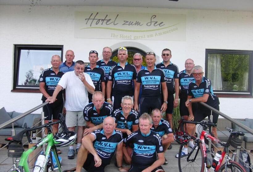 Отель Zum See Garni